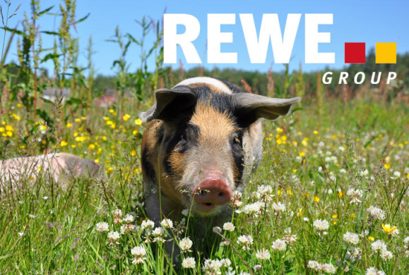 Die REWE Group macht Ernst mit dem Tierschutz